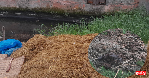 দক্ষিণ সস্তাপুর এলাকায় ডিএনডি খালের উপর পশুর হাটে বর্জ্য