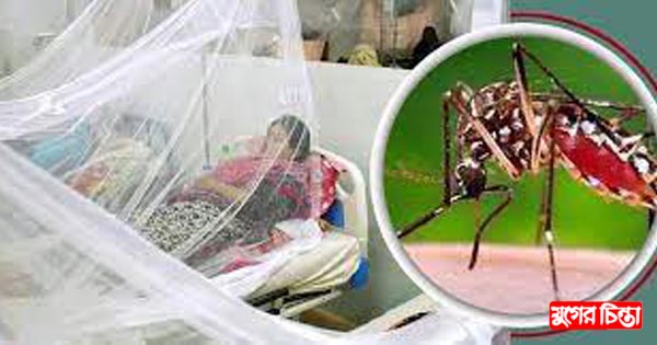 সিটিতে জোরালো কার্যক্রম ইউনিয়ন পরিষদ গুলোতে নাজুক অবস্থা