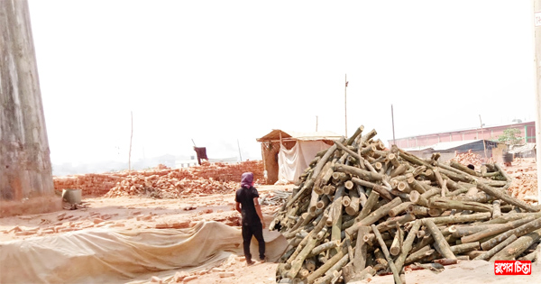 রূপগঞ্জে দেদারসে চলছে শতাধিক অবৈধ ইটভাটা&rdquo; অবাধে পুড়ছে কাঠ