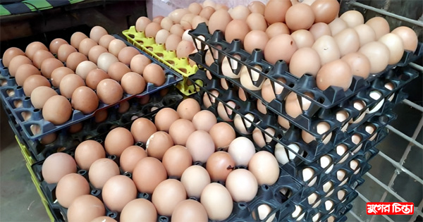 সপ্তাহের ব্যবধানে বেড়েছে&nbsp;ডিমের দাম