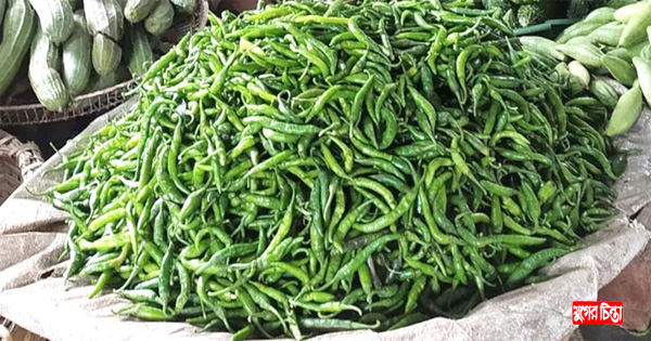 দিনের ব্যবধানে মরিচের দাম অর্ধেক