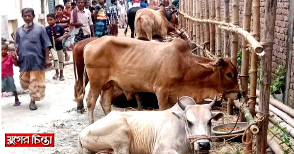 সাইনবোর্ডে সড়ক দখল করে অবৈধ হাট