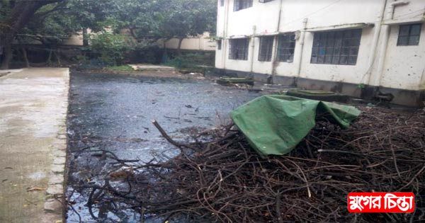 সরকারি কোয়ার্টারে ডেঙ্গু আতঙ্ক