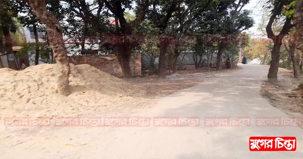 চার মৃত্যুতেও &lsquo;ড্যামকেয়ার সাদীপুরবাসী&rsquo;