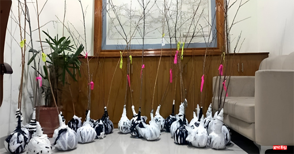 জাপানি চেরি রাঙাবে নগর ভবন