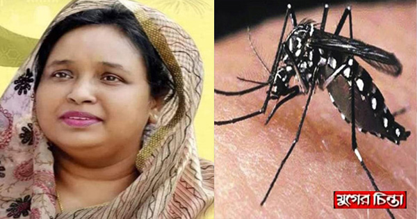 মেয়রের আরেক সাফল্য&nbsp;ডেঙ্গুমুক্ত নারায়ণগঞ্জ শহর