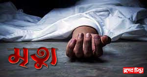 সিদ্ধিরগঞ্জে ট্রাকের ধাক্কায় বৃদ্ধার মৃত্যু