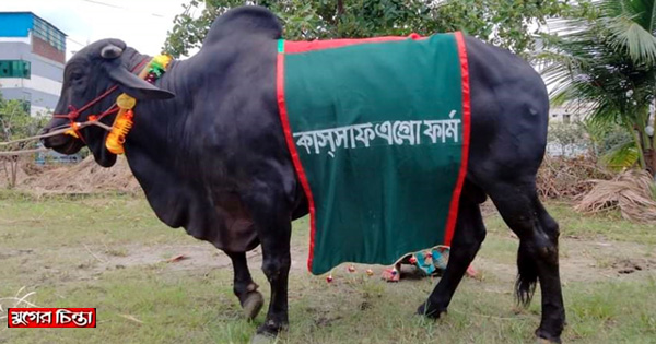 মেসির দাম ৫ লাখ, নেইমারের দাম ৩ লাখ