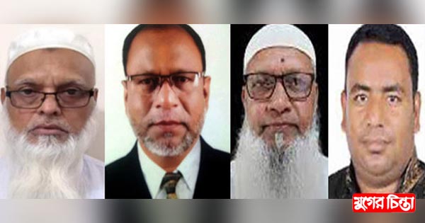 যেভাবে দেখছে বিএনপির তৃণমূল