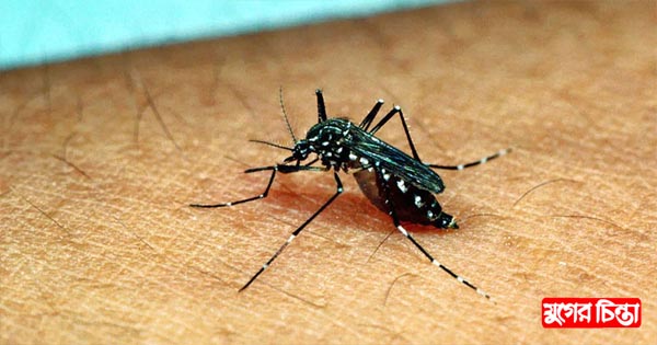 না.গঞ্জে ১৫ জন ডেঙ্গু আক্রান্ত