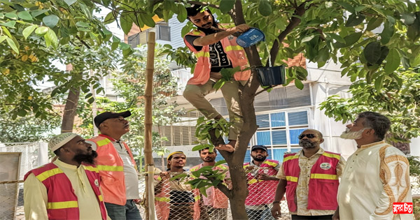 তাপদাহে বিপর্যস্ত পশুপাখির পাশে দাঁড়ালো টিম খোরশেদ