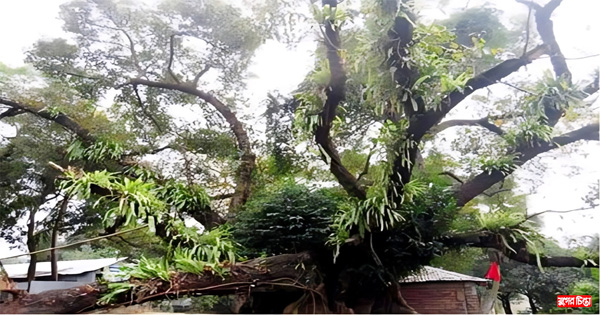 রূপকথার গল্পের মতো অজানা রহস্য