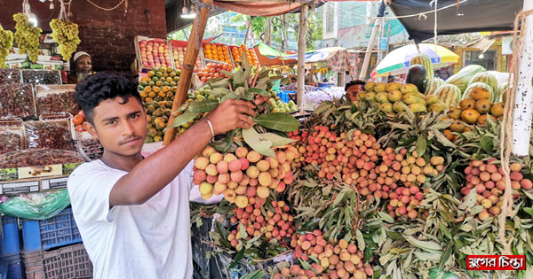 বাজারে মোসুমী ফলে সয়লাব