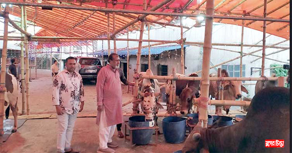 লাভ ছাড়াই ৩ কোটি টাকার কোরবানির পশু বিক্রি করবেন সেলিম ওসমান