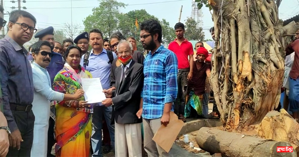 পরিবেশকে আঘাত করে উন্নয়ন চাই না: আইভী