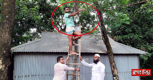 তরুণদের প্রচেষ্টায় গ্রামের রাস্তায় অর্ধশত আলোকবাতি