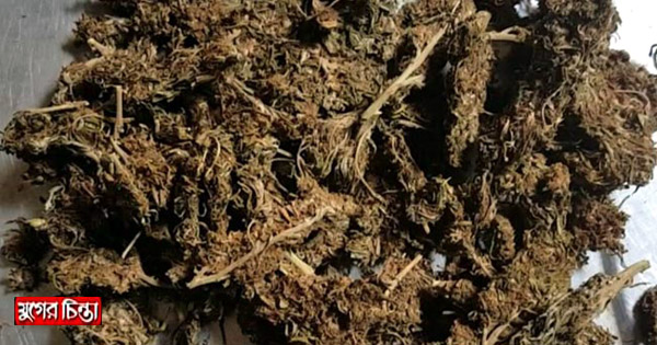 বন্দরে গাঁজাসহ ইসমাইল গ্রেপ্তার