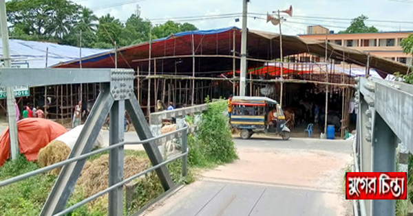 সোনারগাঁয়ে অবৈধ গরুর হাট, নীরব প্রশাসন
