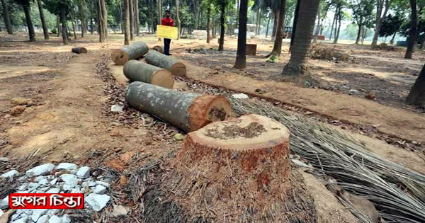 সোহরাওয়ার্দী উদ্যানের গাছ কাটা বন্ধে আইনি নোটিশ