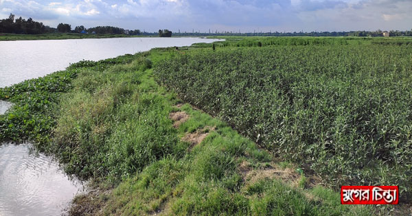 বন্যা আতঙ্কে বক্তাবলীর কৃষকেরা