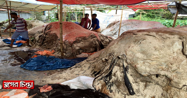 লোকসানের আশংকায় চামড়া ব্যবসায়ীরা