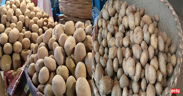নতুনের চেয়ে পুরাতন আলুর দাম বেশি