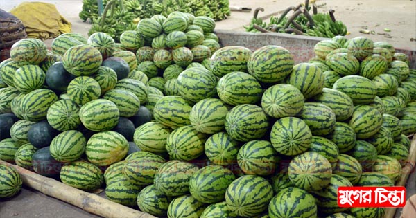 আড়ৎ থেকে কিনে চারগুণ দামে&nbsp;বিক্রি হচ্ছে নতুন তরমুজ
