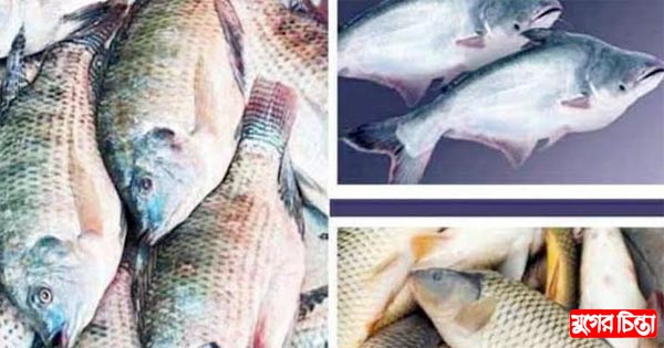 মাছের বাজারে আগুন, গরীবের &nbsp;মাথায় হাত