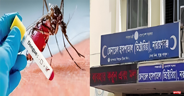 ভিক্টোরিয়ায় ৯ মাসে ৯৭০&nbsp;জন ডেঙ্গু রোগী