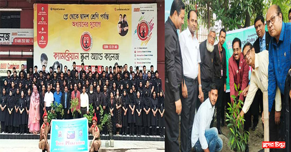 অ্যালায়েন্স ক্লাবের&nbsp;উদ্যোগে বৃক্ষ রোপণ ও চারা বিতরণ কর্মসূচি পালন