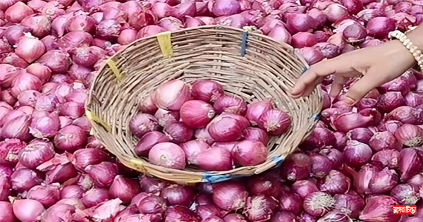 পেঁয়াজের দাম কমে অর্ধেকে, কেজি এখন ৫২ টাকা &nbsp;