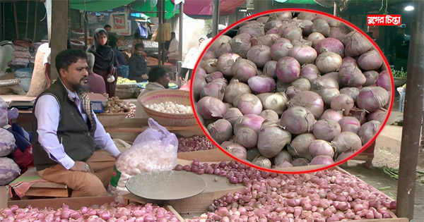 মুড়িকাটা পেঁয়াজের যোগানে প্রায় অর্ধেকে নেমেছে দাম