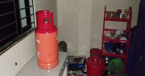 ফতুল্লায় ফ্ল্যাটে জমে থাকা গ্যাসের আগুনে একই পরিবারের ৬ জন দ্বগ্ধ