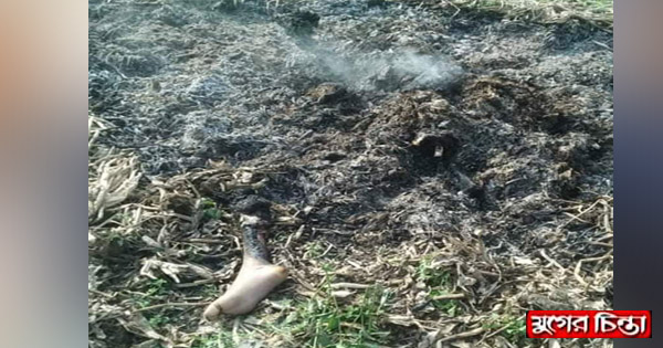 সবজি বাগানের পাশে আগুনে পুড়ছিল মরদেহটি