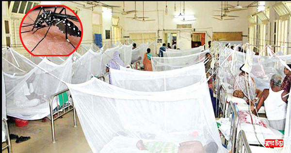 নগরীতে ভয়াবহ রূপ নিচ্ছে ডেঙ্গু &nbsp; &nbsp;