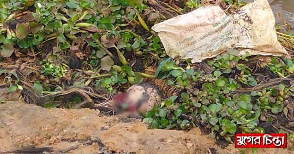 পুকুরে মাছ ধরতে গিয়ে বাজারের ব্যাগে উদ্ধার হলো যুবকের মাথা