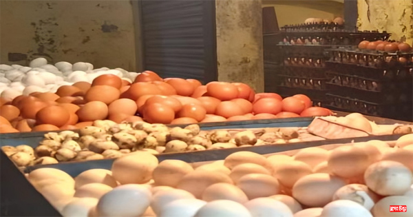 এক সপ্তাহে বেড়েছে&nbsp;ডিমের দাম