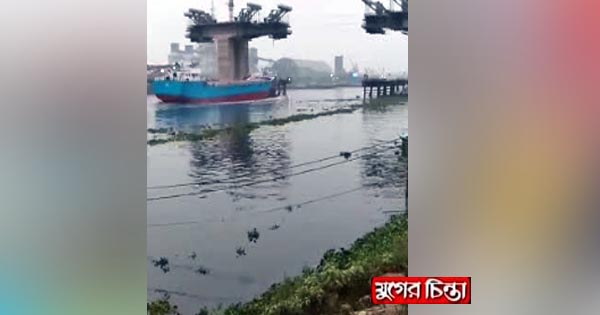পাথর ছুড়ঁতে ছুড়ঁতে পালিয়েছিলো কার্গোটি