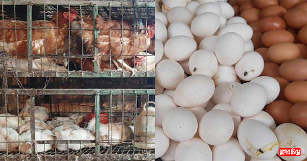 সরকারকে বৃদ্ধাঙ্গুলি দেখিয়ে গরম ডিম-মুরগির বাজার &nbsp;