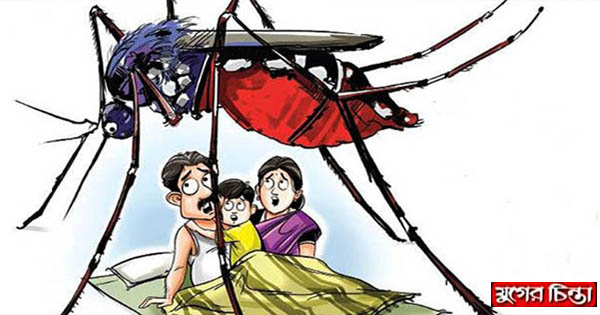 মশার যন্ত্রণা : কাউন্সিলরের দাবি ওষুধ নেই সিটি করপোরেশনে
