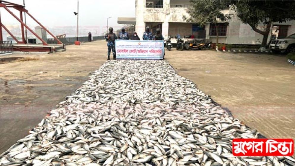 কাঁচপুরে কোস্টগার্ডের অভিযানে ৪৮৫০ কেজি জাটকা জব্দ