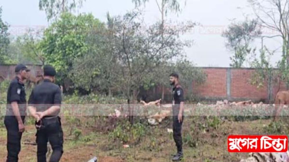 গরু বলে ঘোড়ার মাংস বিক্রি, জবাই করা ৯ ঘোড়া উদ্ধার